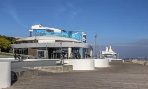 Plaża i wybrzeże — wakacje w Akwarium Gdyńskie Trójmiasto Polska