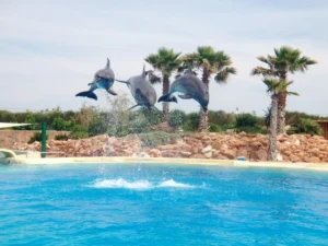Plaża i wybrzeże — wakacje w Akwarium Limassol Limassol Cypr