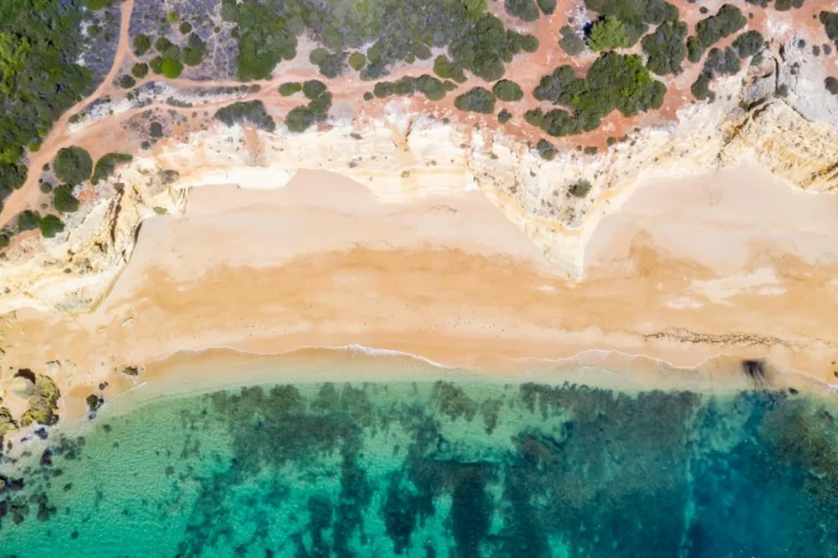 Plaża i wybrzeże — wakacje w Białe plaże Son Bou Menorka Hiszpania