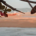 Plaża i wybrzeże — wakacje w Bułgarii
