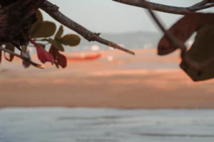 Plaża i wybrzeże — wakacje w Bułgarii