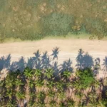 Plaża i wybrzeże — wakacje w Cacao Beach Słoneczny Brzeg Bułgaria