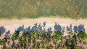Plaża i wybrzeże — wakacje w Cacao Beach Słoneczny Brzeg Bułgaria