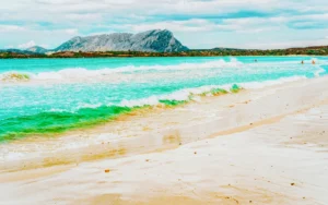 Plaża i wybrzeże — wakacje w Costa de la Luz Hiszpania