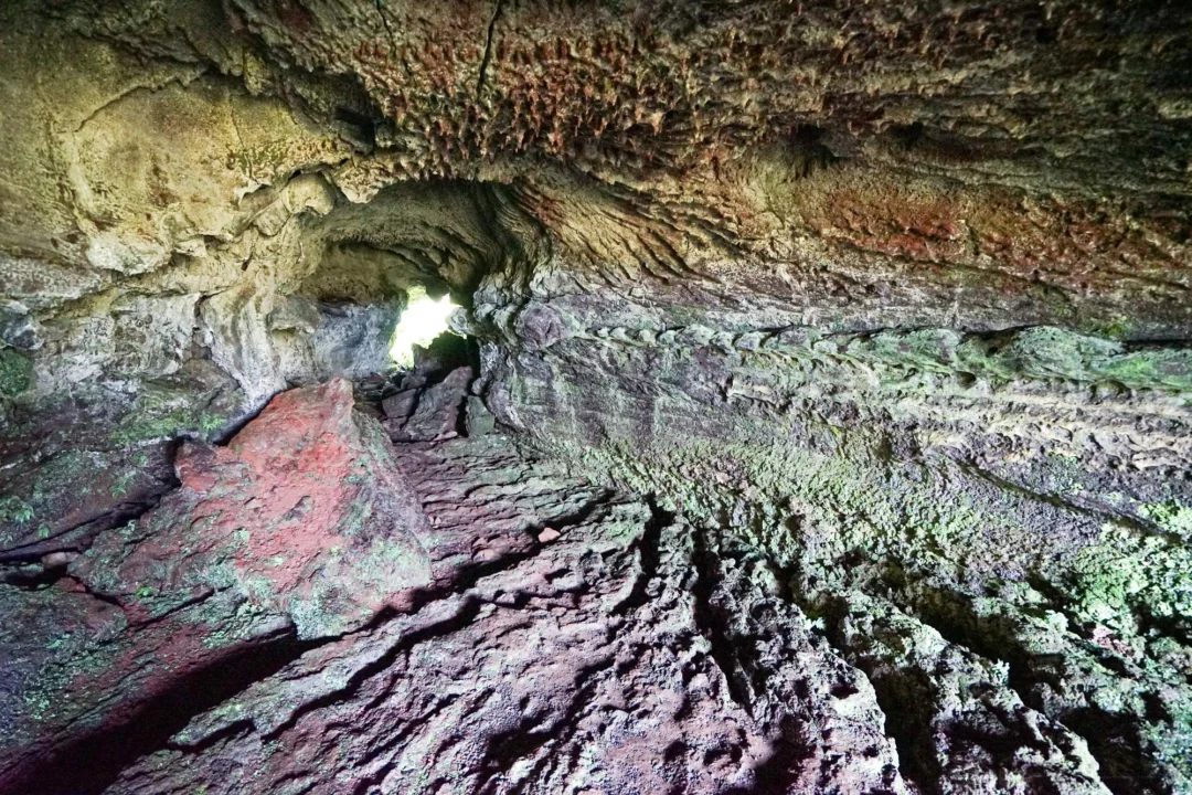 Coves de Benifallet — przewodnik dla turystów