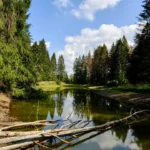 Plaża i wybrzeże — wakacje w Czarna Hańcza — rzeka pełna przygód Podlasie Polska