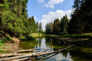 Plaża i wybrzeże — wakacje w Czarna Hańcza — rzeka pełna przygód Podlasie Polska