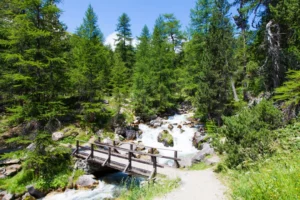 Plaża i wybrzeże — wakacje w Dolina Kościeliska Tatry i Podhale Polska