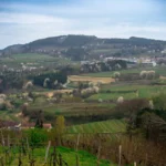 Plaża i wybrzeże — wakacje w Dolina Wachau Austria