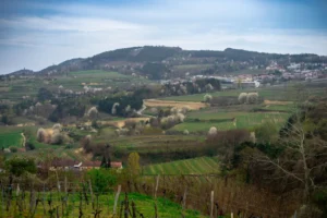 Plaża i wybrzeże — wakacje w Dolina Wachau Austria