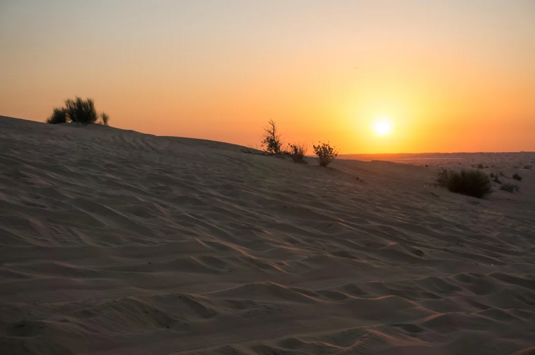 Dune de Maspalomas — przewodnik dla turystów