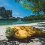 Plaża i wybrzeże — wakacje w Egipcie