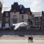 Plaża i wybrzeże — wakacje w Egipcie