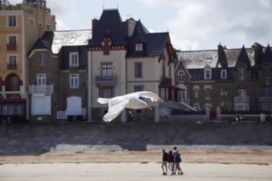 Plaża i wybrzeże — wakacje w Egipcie