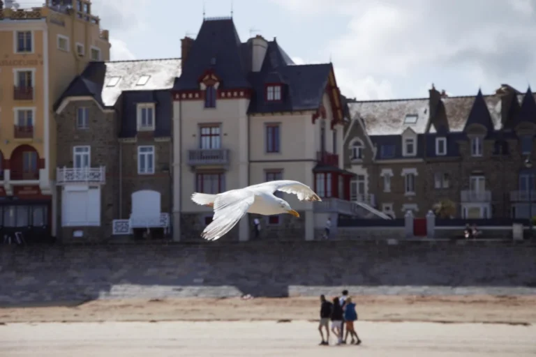Plaża i wybrzeże — wakacje w Egipcie