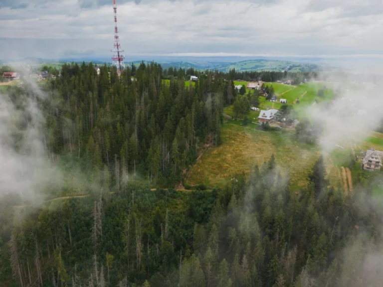 Plaża i wybrzeże — wakacje w Gubałówka Tatry i Podhale Polska