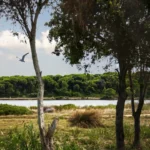 Plaża i wybrzeże — wakacje w Hiszpanii