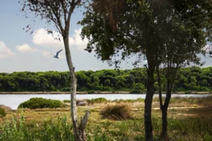 Plaża i wybrzeże — wakacje w Hiszpanii