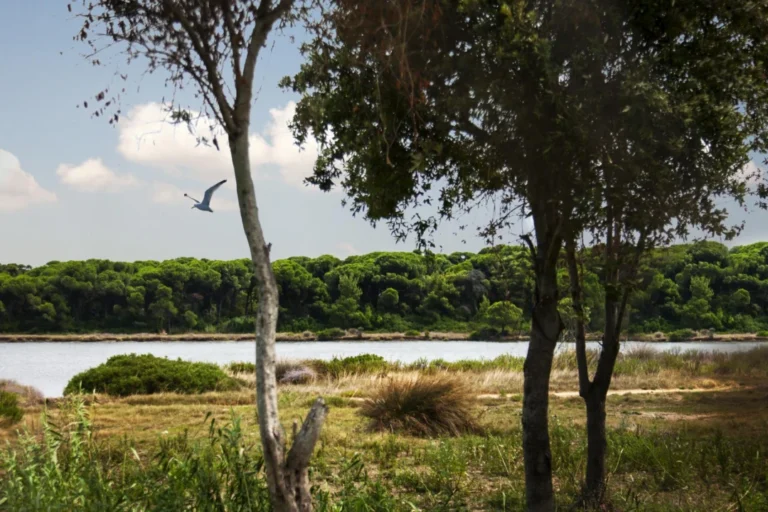 Plaża i wybrzeże — wakacje w Hiszpanii