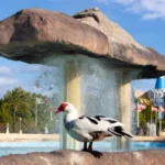Plaża i wybrzeże — wakacje w Hiszpanii