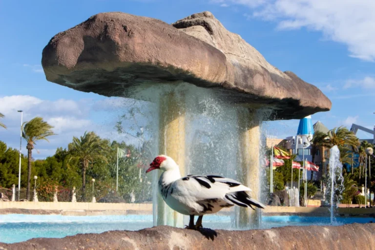Plaża i wybrzeże — wakacje w Hiszpanii
