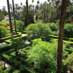 Plaża i wybrzeże — wakacje w Jardin d'Essai Hammamet Tunezja