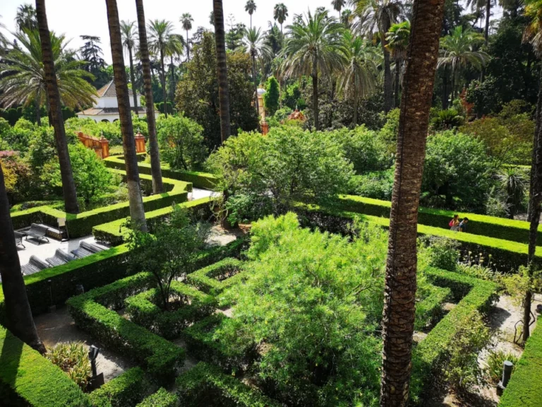 Plaża i wybrzeże — wakacje w Jardin d'Essai Hammamet Tunezja