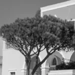 Plaża i wybrzeże — wakacje w Klasztor i meczet Sidi Sahbi Monastir Tunezja