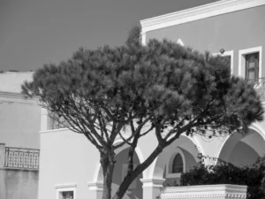 Plaża i wybrzeże — wakacje w Klasztor i meczet Sidi Sahbi Monastir Tunezja