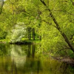 Plaża i wybrzeże — wakacje w Książański Park Krajobrazowy Dolny Śląsk Polska