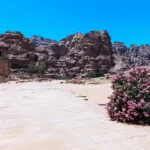 Plaża i wybrzeże — wakacje w Laguna Gebel el Rosas Marsa Alam Egipt