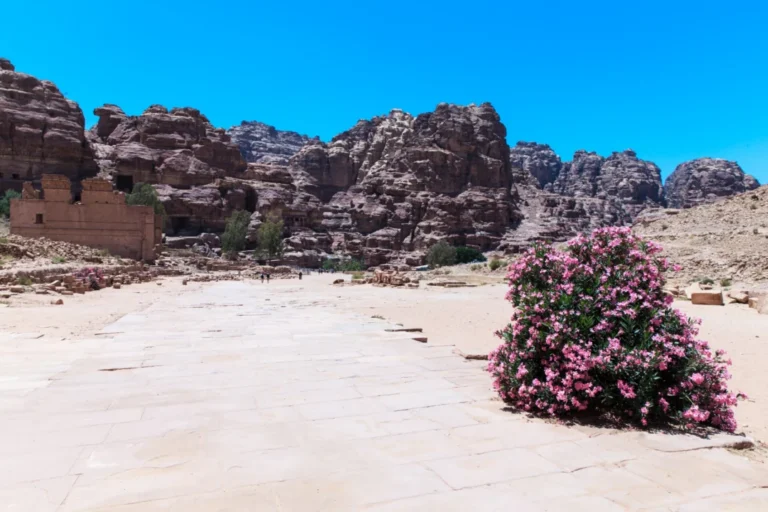 Plaża i wybrzeże — wakacje w Laguna Gebel el Rosas Marsa Alam Egipt