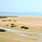 Plaża i wybrzeże — wakacje w Marsa Alam Egipt