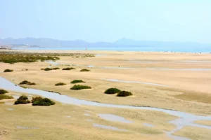 Plaża i wybrzeże — wakacje w Marsa Alam Egipt