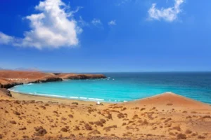 Plaża i wybrzeże — wakacje w Marsa Shagra Marsa Alam Egipt