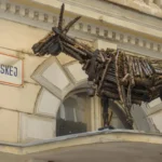 Plaża i wybrzeże — wakacje w Muzeum Historii Naturalnej Złote Piaski Bułgaria