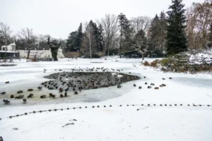 Plaża i wybrzeże — wakacje w Muzeum Przyrodnicze w Uściu Gorlickim Beskid Niski Polska