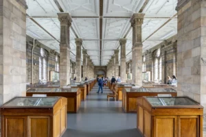 Plaża i wybrzeże — wakacje w Muzeum Sztuki w Łodzi Łódź Polska