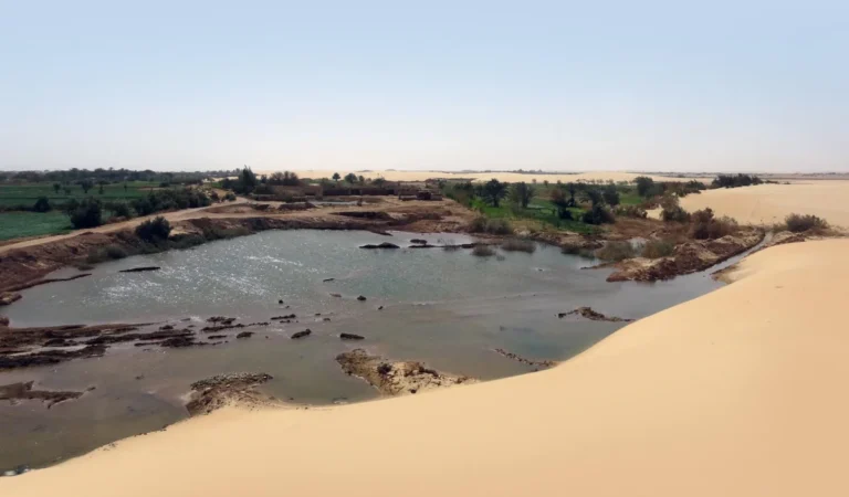 Plaża i wybrzeże — wakacje w Oaza Dakhla Dolny Egipt Egipt