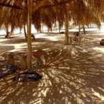 Plaża i wybrzeże — wakacje w Oaza w Ksar Ouled Soltane Zarzis Tunezja