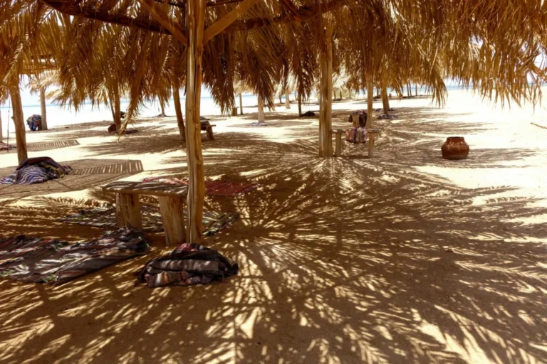 Plaża i wybrzeże — wakacje w Oaza w Ksar Ouled Soltane Zarzis Tunezja