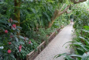Plaża i wybrzeże — wakacje w Ogród Botaniczny Panama Północna Hiszpania