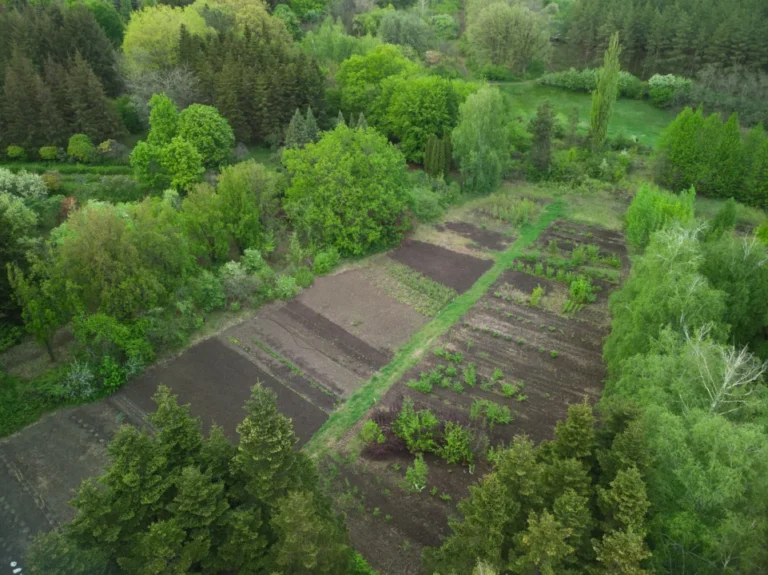 Plaża i wybrzeże — wakacje w Ogród Botaniczny w Sandomierzu Kotlina Sandomierska Polska