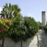 Plaża i wybrzeże — wakacje w Ogrody Habiba Bourguiby Monastir Tunezja