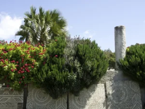 Plaża i wybrzeże — wakacje w Ogrody Habiba Bourguiby Monastir Tunezja