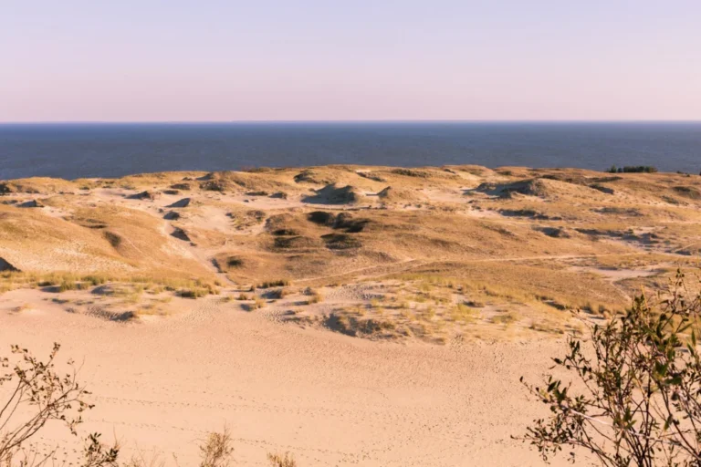 Plaża i wybrzeże — wakacje w Ostrówek - Pustynia Błędowska Opolszczyzna Polska