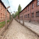 Plaża i wybrzeże — wakacje w Oświęcim — Auschwitz-Birkenau Polska