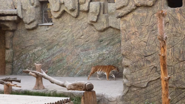 Plaża i wybrzeże — wakacje w Pafos Zoo Pafos Cypr