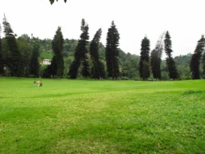 Plaża i wybrzeże — wakacje w Parco Giardino Sigurtà Jezioro Garda Włochy