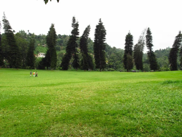 Plaża i wybrzeże — wakacje w Parco Giardino Sigurtà Jezioro Garda Włochy